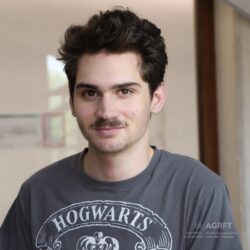 Dominik Križ